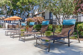 A row of lounge chair to relax on while at the pool.